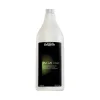 L'Oréal INOA Post Shampoo 1500ml