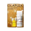 Olaplex Beschermingskit No.6 + No.7