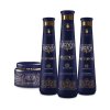 Vitta Gold Nanoplex Arginina Proteïne behandeling Kit 3500ml