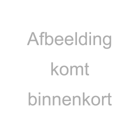 Babyliss Pro 4artists Tondeuse en Trimmer Opbergzakje
