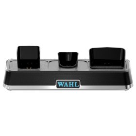 Wahl Power Station