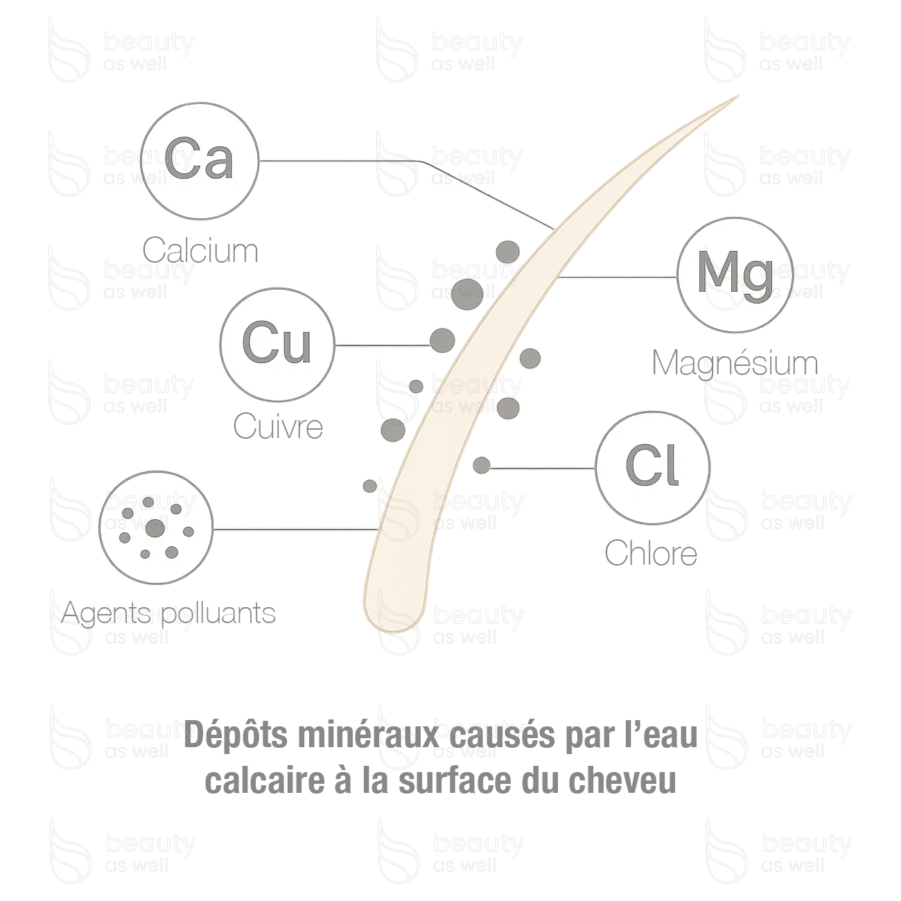 Dépôts de pollution et métaux sur le cheveu