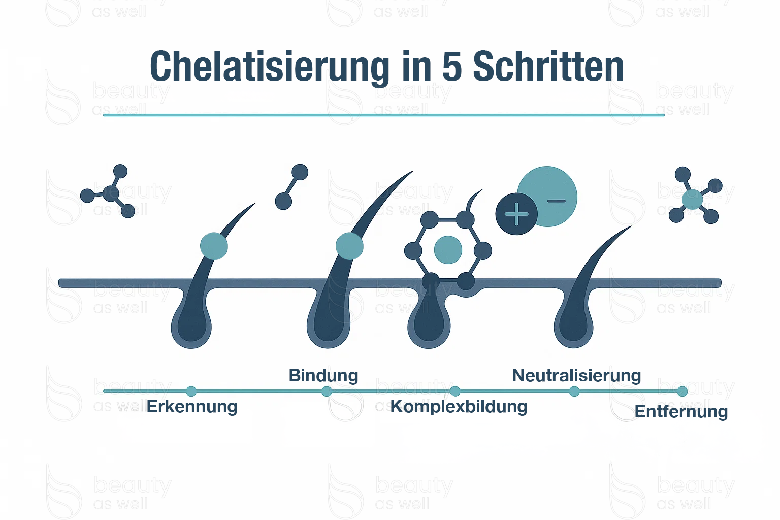 Infographic: Chelation in five steps for hair detox