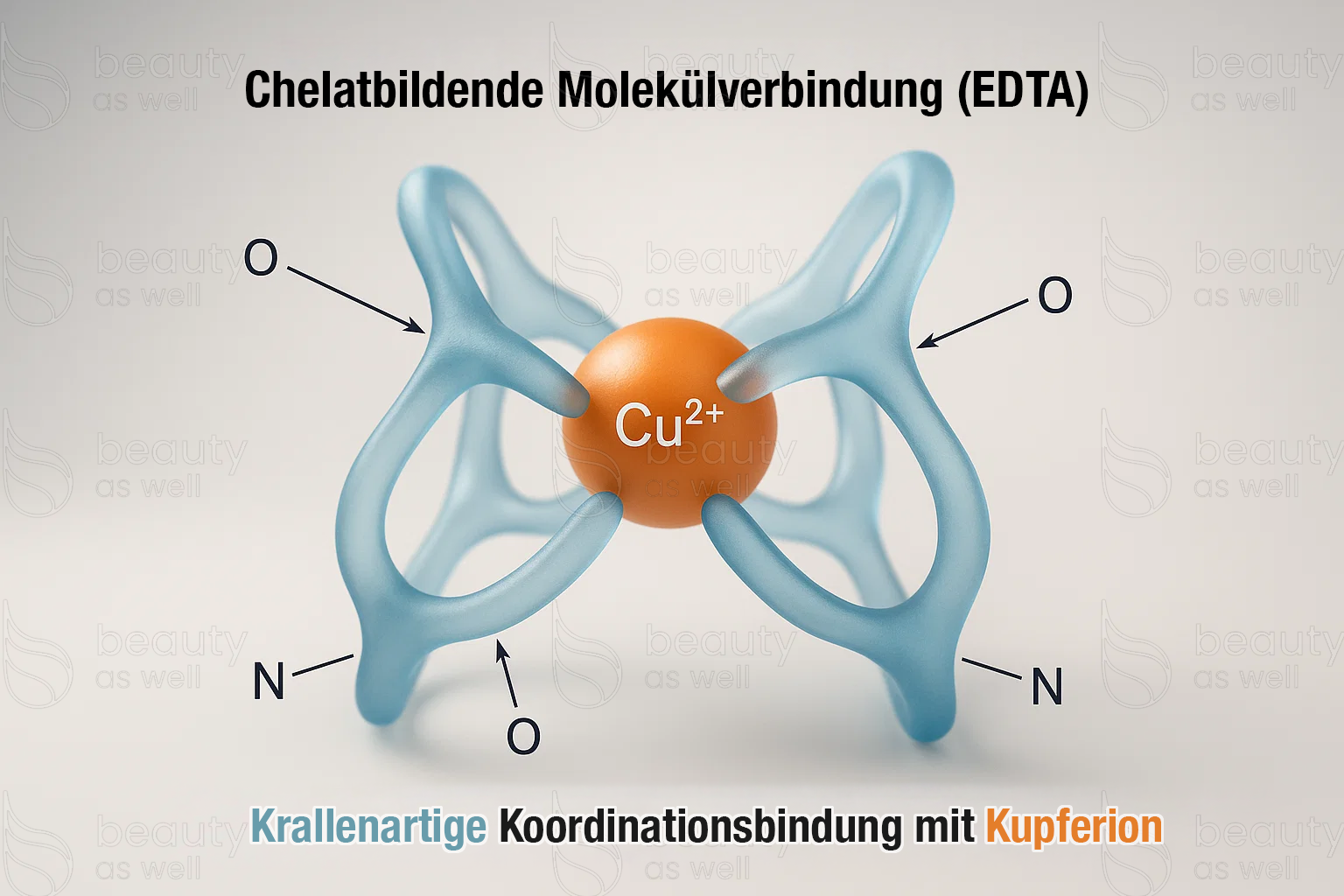 EDTA complexes a copper ion: schematic representation
