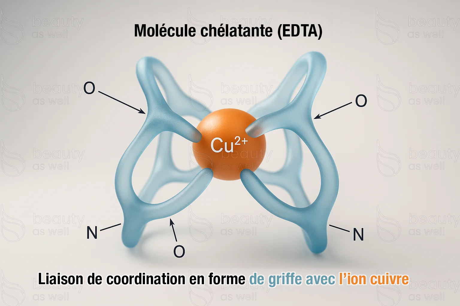 Schéma : l'EDTA chélatant un ion cuivre