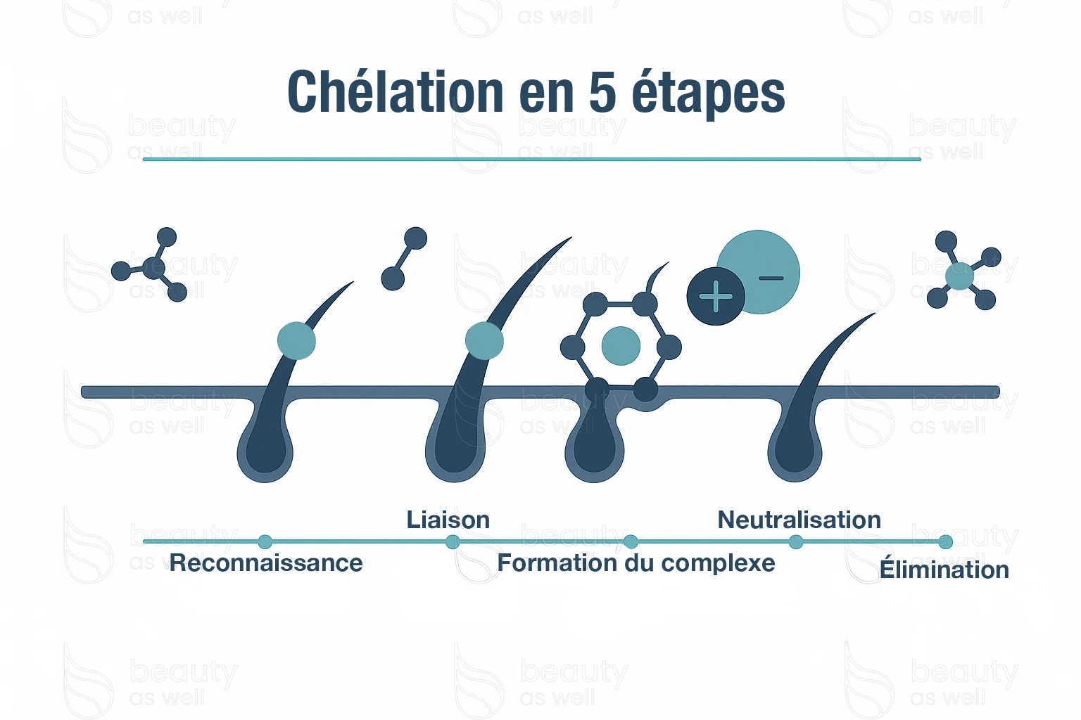 Chélation en cinq étapes